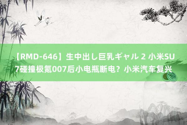 【RMD-646】生中出し巨乳ギャル 2 小米SU7碰撞极氪007后小电瓶断电？小米汽车复兴