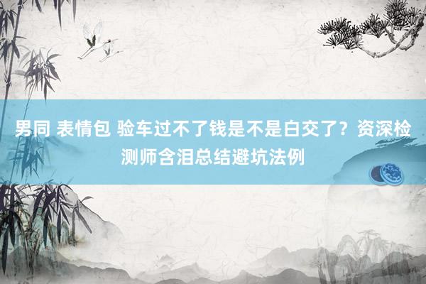 男同 表情包 验车过不了钱是不是白交了？资深检测师含泪总结避坑法例