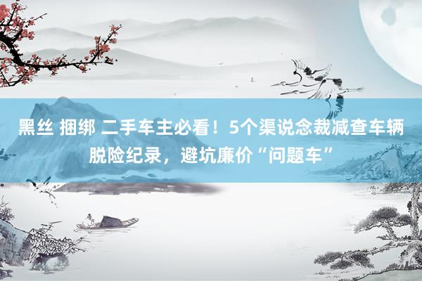黑丝 捆绑 二手车主必看！5个渠说念裁减查车辆脱险纪录，避坑廉价“问题车”