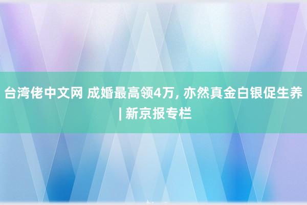 台湾佬中文网 成婚最高领4万, 亦然真金白银促生养 | 新京报专栏